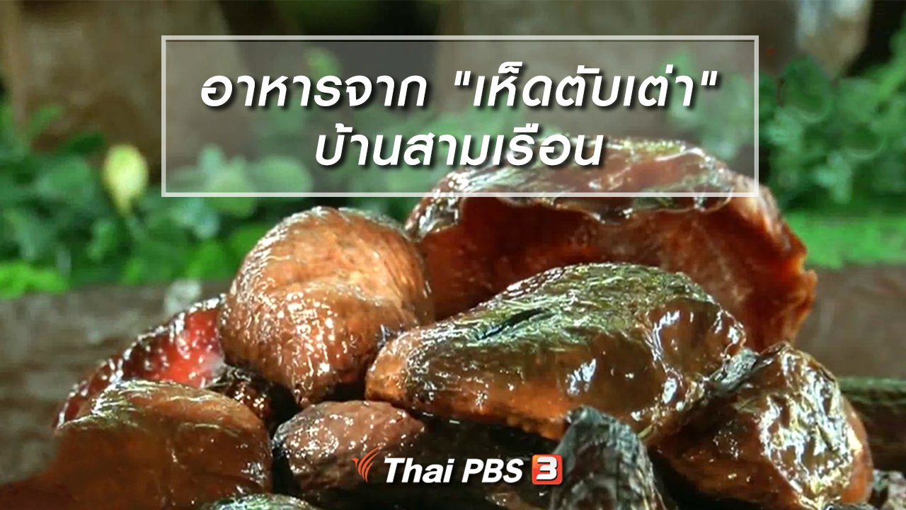 ไทยบันเทิง - อิ่มมนต์รส : ภูมิปัญญาอาหารจาก "เห็ดตับเต่า" บ้านสามเรือน
