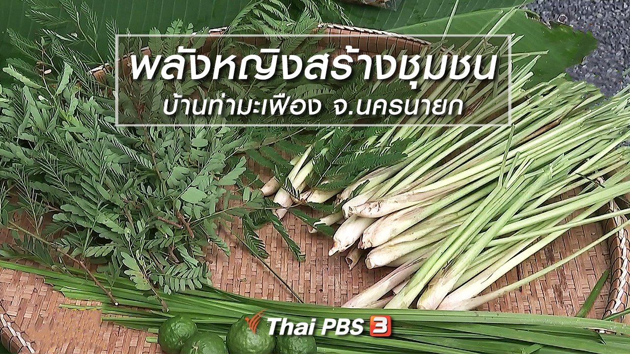 นารีกระจ่าง - ผู้หญิงผู้สร้าง : พลังหญิงสร้างชุมชนบ้านท่ามะเฟือง จ.นครนายก