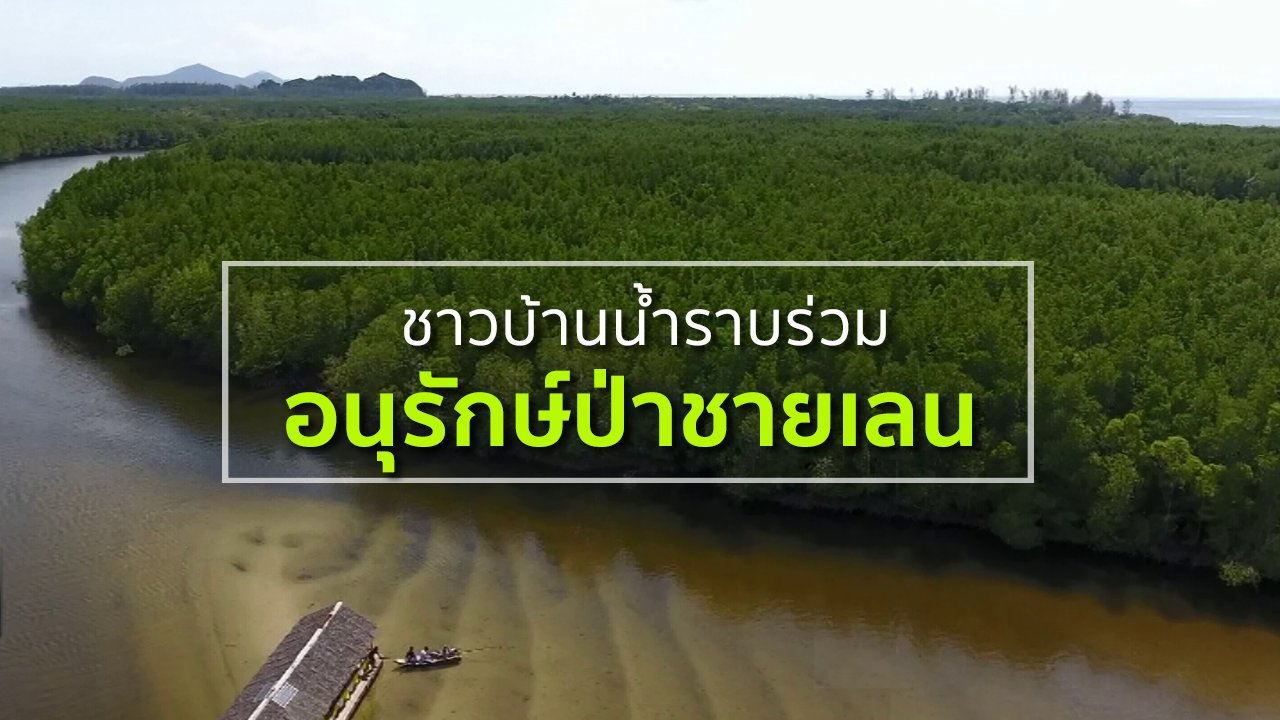 ทุกทิศทั่วไทย - ชุมชนทั่วไทย : ชาวบ้านน้ำราบร่วมอนุรักษ์ป่าชายเลน