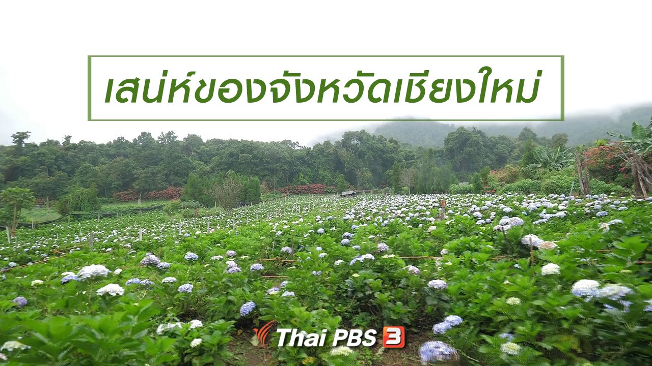 เที่ยวไทยไม่ตกยุค - เที่ยวไทยไม่ตกยุค : เสน่ห์ของจังหวัดเชียงใหม่