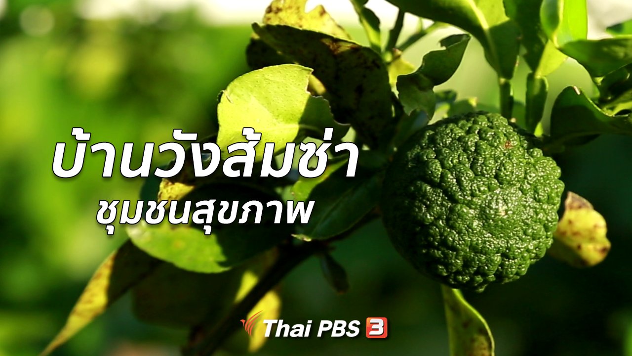 คนสู้โรค - ปรับก่อนป่วย : ชุมชนสุขภาพ บ้านวังส้มซ่า