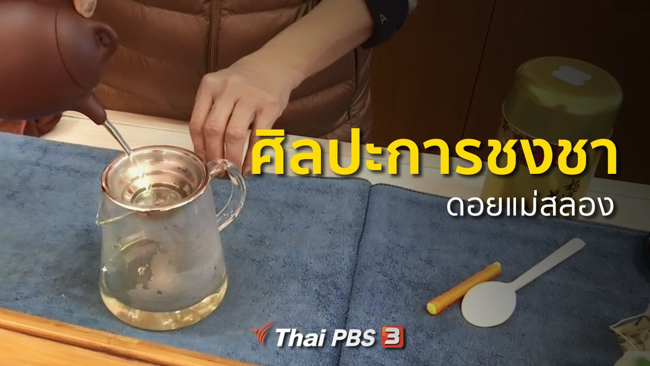 ทุกทิศทั่วไทย - วิถีทั่วไทย : ศิลปะการชงชาดอยแม่สลอง