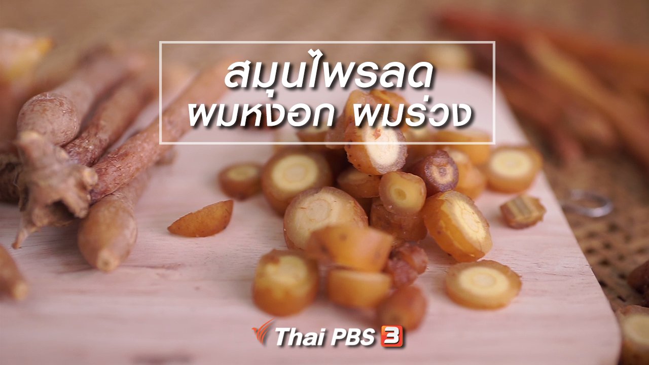 ลุยไม่รู้โรย - ห้องเรียนสูงวัย : สมุนไพรลดผมหงอก ผมร่วง