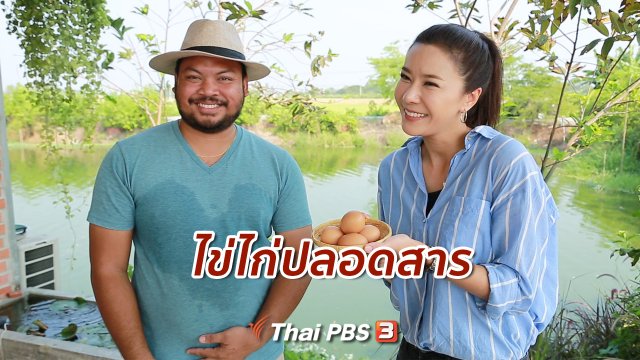 ปรับก่อนป่วย : ไข่ไก่ปลอดสาร