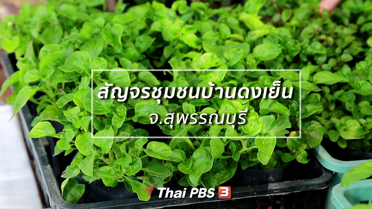 คนสู้โรค - ปรับก่อนป่วย : สัญจรชุมชนบ้านดงเย็น จ.สุพรรณบุรี