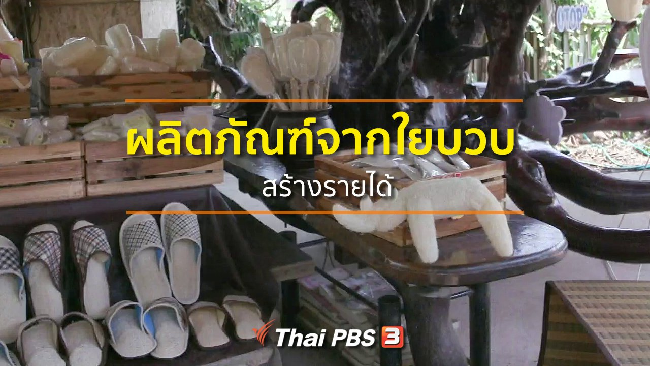 ทุกทิศทั่วไทย - ชุมชนทั่วไทย : ผลิตภัณฑ์จากใยบวบสร้างรายได้
