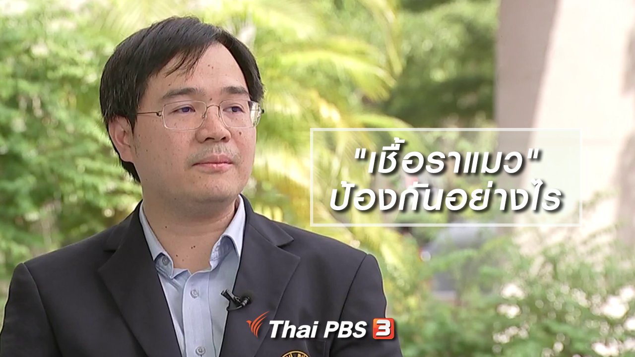 รู้เท่ารู้ทัน - "เชื้อราแมว" ป้องกันอย่างไร และมีวิธีรักษาหรือไม่
