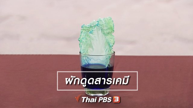 ผักดูดสารเคมี