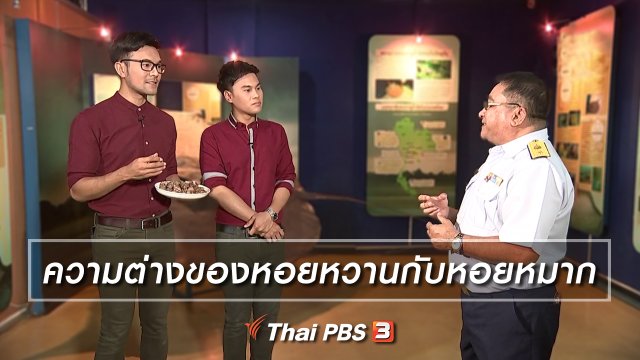 ความต่างของหอยหวานกับหอยหมาก