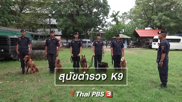 สุนัขตำรวจ K9