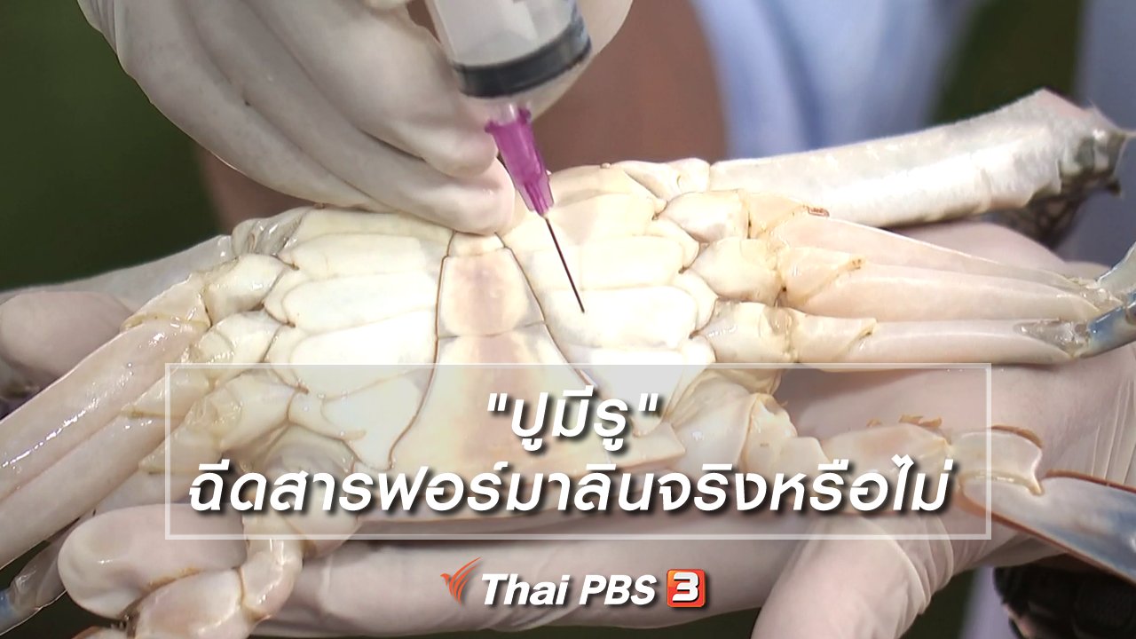 รู้เท่ารู้ทัน - "ปูมีรู" ฉีดสารฟอร์มาลินจริงหรือไม่