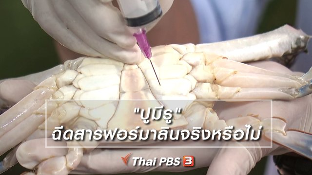 "ปูมีรู" ฉีดสารฟอร์มาลินจริงหรือไม่