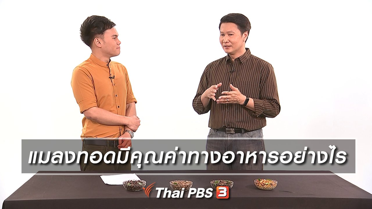 รู้เท่ารู้ทัน - แมลงทอดมีคุณค่าทางอาหารอย่างไร