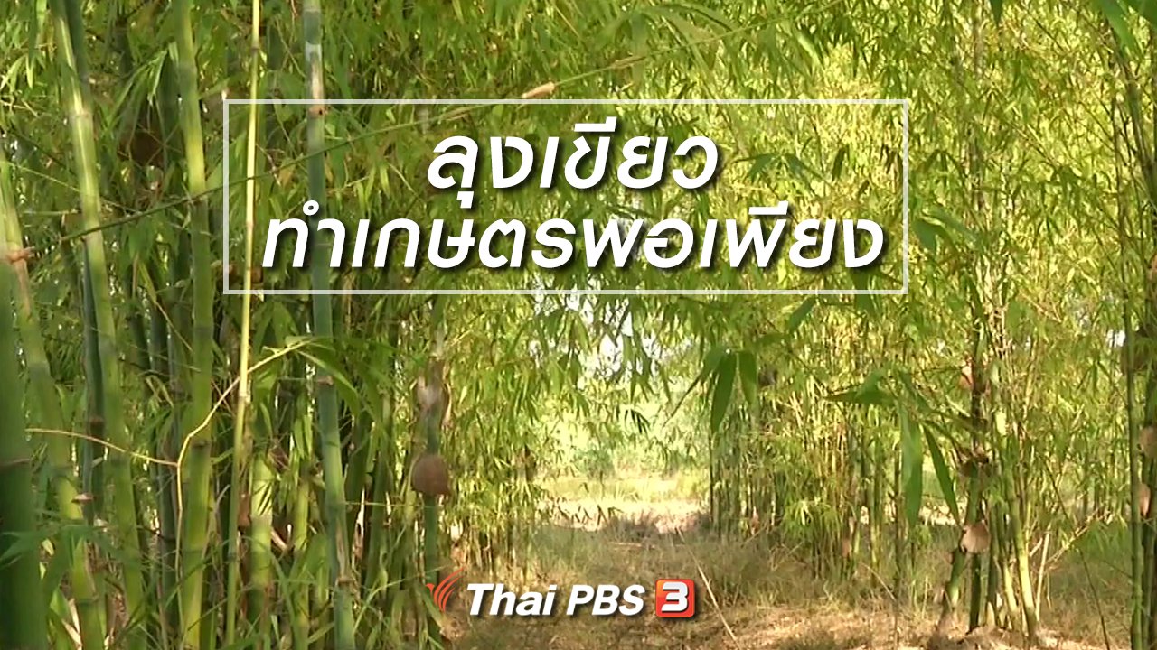 จับตาสถานการณ์ - ตะลุยทั่วไทย : ลุงเขียวทำเกษตรพอเพียง