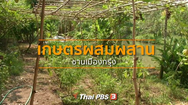 ชุมชนทั่วไทย : ทำเกษตรผสมผสานชานเมืองกรุง