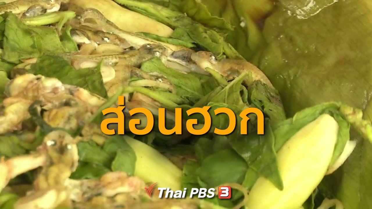 ทุกทิศทั่วไทย - ชุมชนทั่วไทย : ส่อนฮวก (หาลูกอ๊อด)