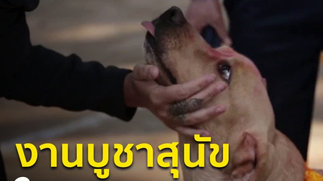 งานบูชาสุนัขในเนปาล