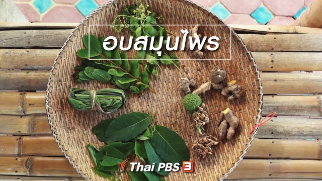 เรียนรู้วิถีไทย : อบสมุนไพร