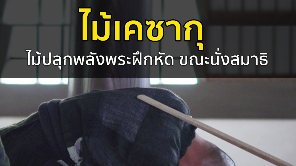 ตามรอยพระพุทธเจ้า 2 : ไตรปิฎก คำสอนมีชีวิต - ไม้เคซากุ ไม้ปลุกพลังพระฝึกหัด