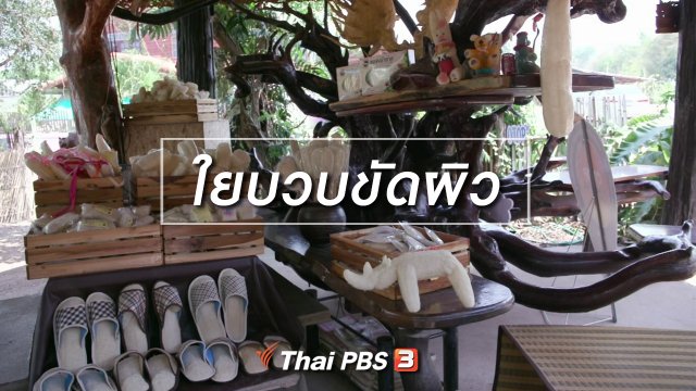 ตะลุยทั่วไทย : ใยบวบขัดผิว