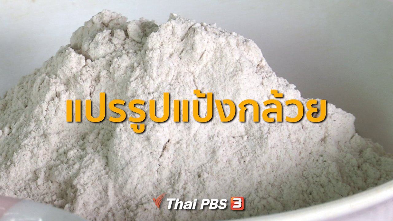 ทุกทิศทั่วไทย - อาชีพทั่วไทย : แปรรูปแป้งกล้วย จ.พิจิตร
