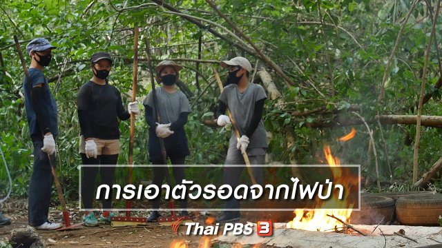 คิดส์เรียนรู้ : การเอาตัวรอดจากไฟป่า