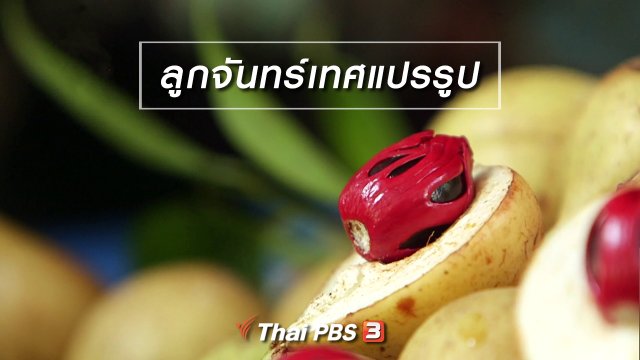 ตะลุยทั่วไทย : ลูกจันทร์เทศแปรรูป