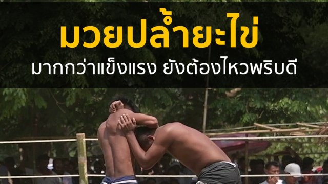 มวยปล้ำยะไข่