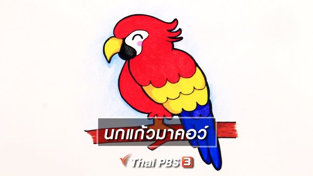 สอนศิลป์สอนวาด : นกแก้วมาคอว์