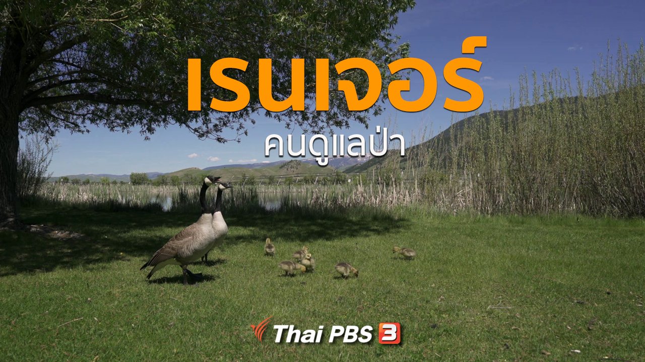 A Life on the Road ถนน คน ชีวิต - เรนเจอร์ คนดูแลป่า