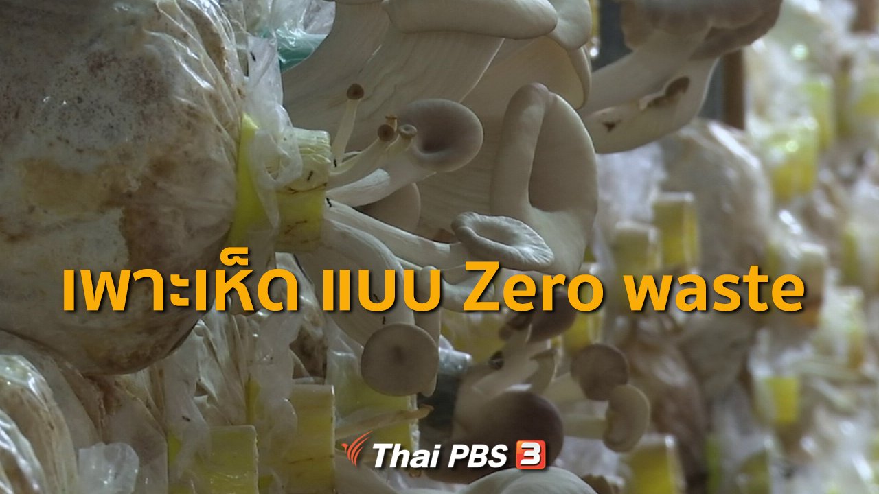ทุกทิศทั่วไทย - ชุมชนทั่วไทย : เพาะเห็ดครบวงจรไม่เหลือขยะ จ.สมุทรปราการ