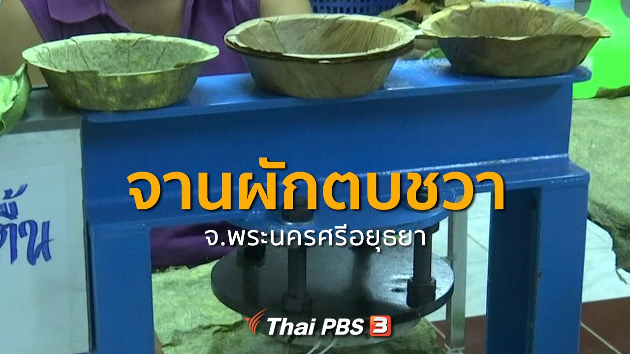 ทุกทิศทั่วไทย - ชุมชนทั่วไทย : จานผักตบชวา จ.พระนครศรีอยุธยา