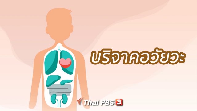 คิดส์ขยายข่าว : บริจาคอวัยวะ