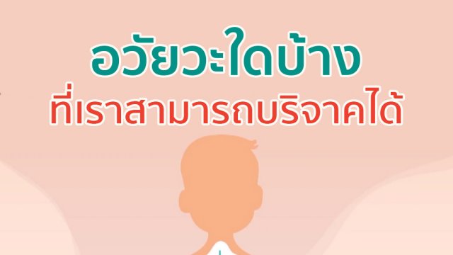 อวัยวะใดบ้างที่เราสามารถบริจาคได้