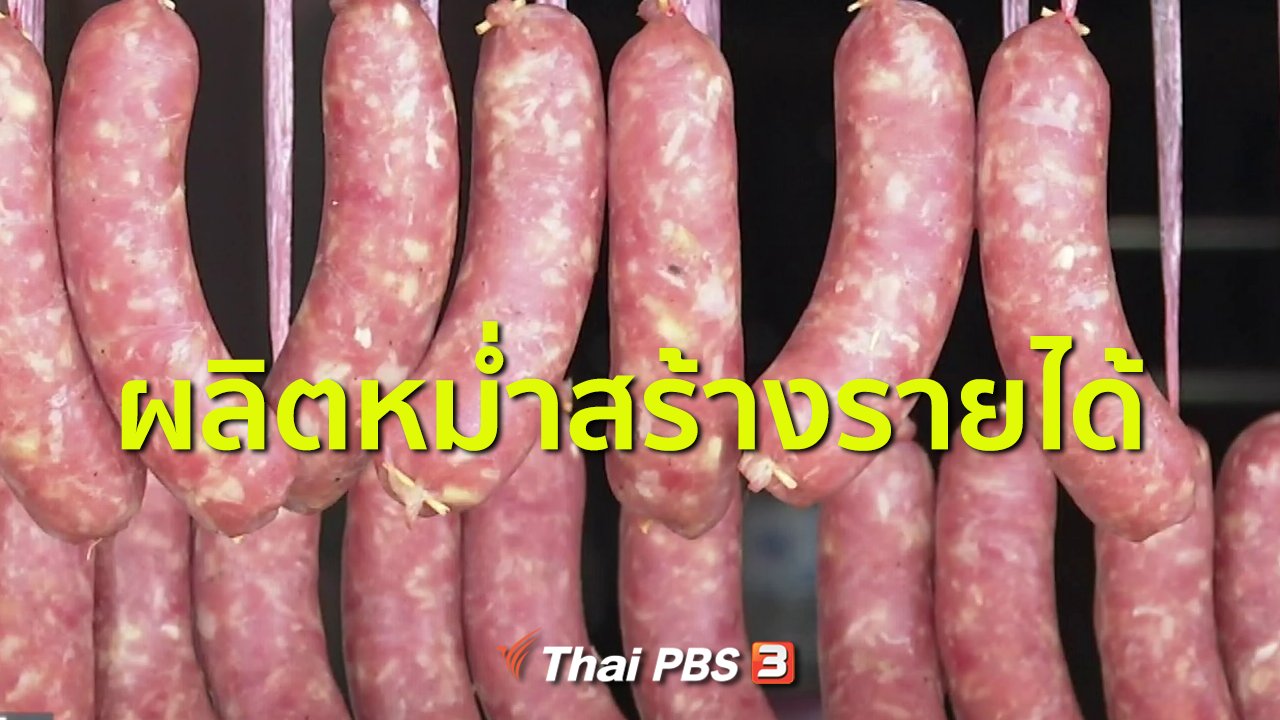 ทุกทิศทั่วไทย - อาชีพทั่วไทย : ผลิตหม่ำสร้างรายได้