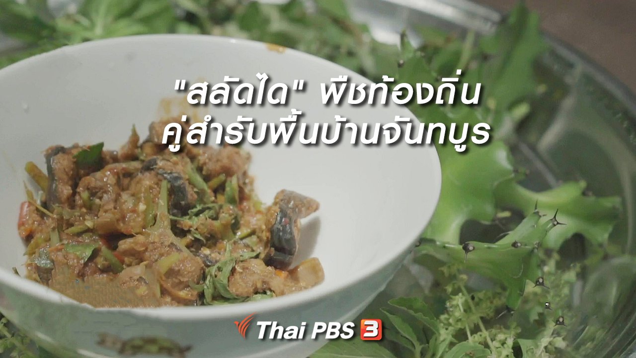 ไทยบันเทิง - อิ่มมนต์รส : "สลัดได" พืชท้องถิ่นคู่สำรับพื้นบ้านจันทบูร
