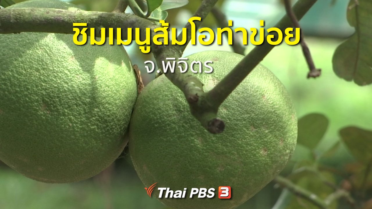 ทุกทิศทั่วไทย - ชุมชนทั่วไทย : ชิมเมนูส้มโอท่าข่อย จ.พิจิตร