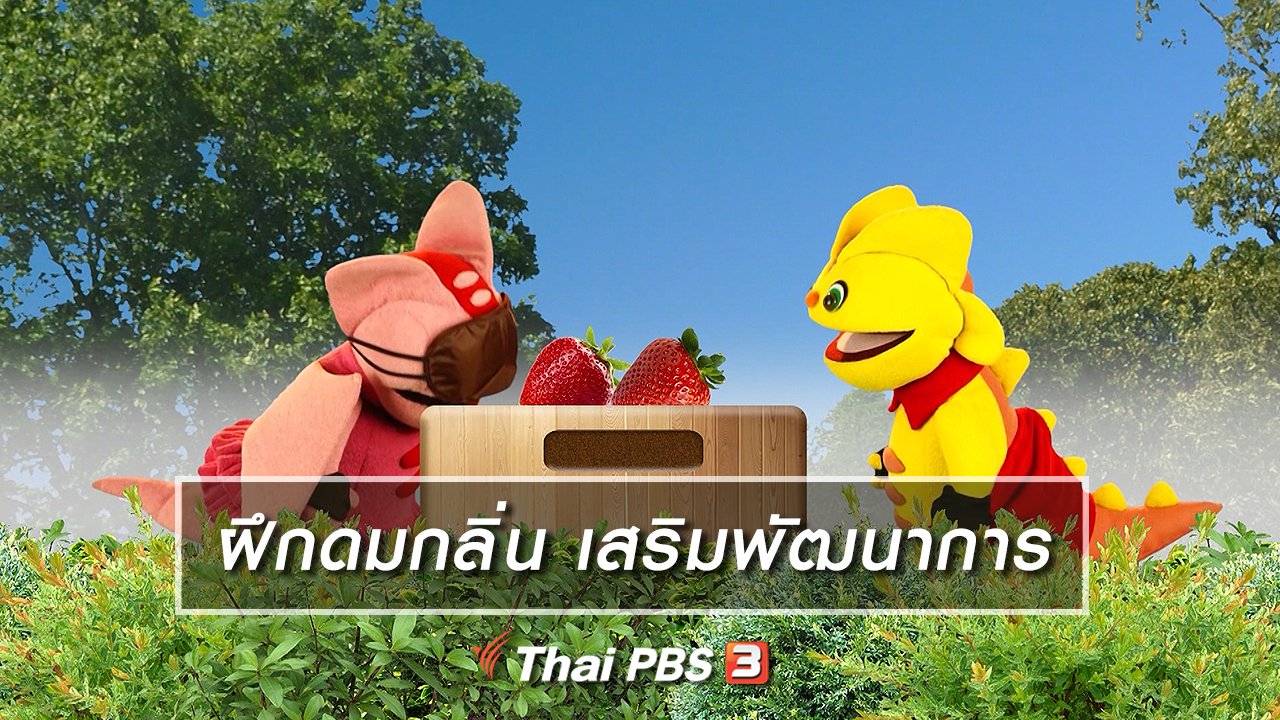 TataTitiToto ไดโนจอมป่วน - เกร็ดน่ารู้กับตาต้าตีตี้โตโต้ : ฝึกให้เด็กดมกลิ่นช่วยเสริมพัฒนาการ