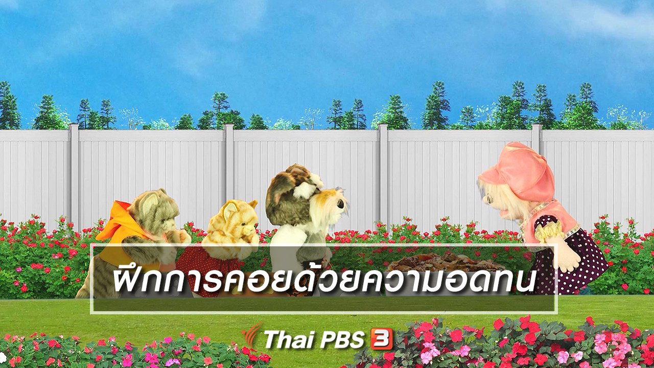 TataTitiToto ไดโนจอมป่วน - เกร็ดน่ารู้กับตาต้าตีตี้โตโต้ : ฝึกให้เด็กรู้จักคอยด้วยความอดทน