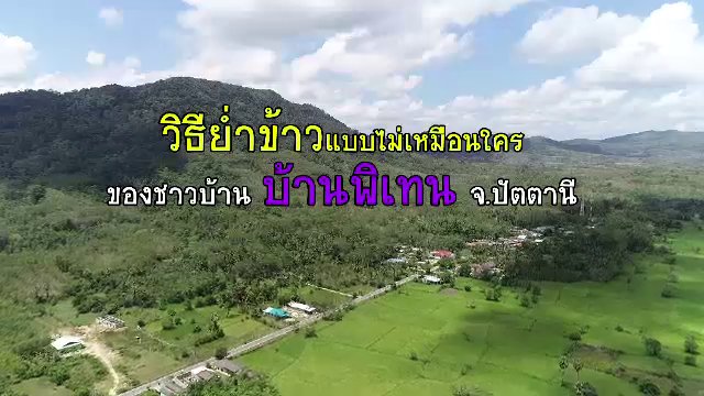 ซีรีส์วิถีคน - วิธีย่ำข้าวแบบไม่เหมือนใคร ที่บ้านพิเทน จ.ปัตตานี
