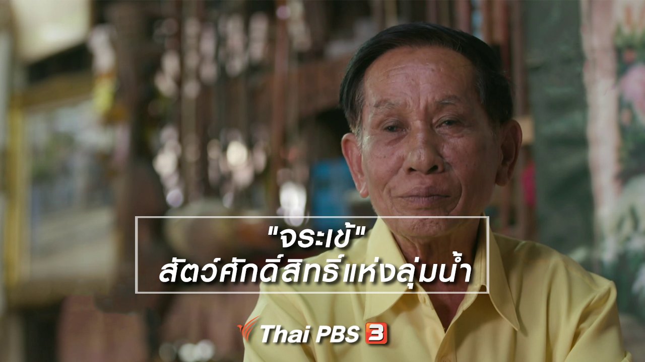 ไทยบันเทิง - เรื่องนี้มีตำนาน : "จระเข้" สัตว์ศักดิ์สิทธิ์แห่งลุ่มน้ำ