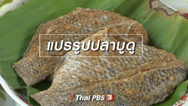 ตะลุยทั่วไทย : แปรรูปปลาบูดู