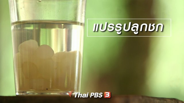 ตะลุยทั่วไทย : แปรรูปลูกชก