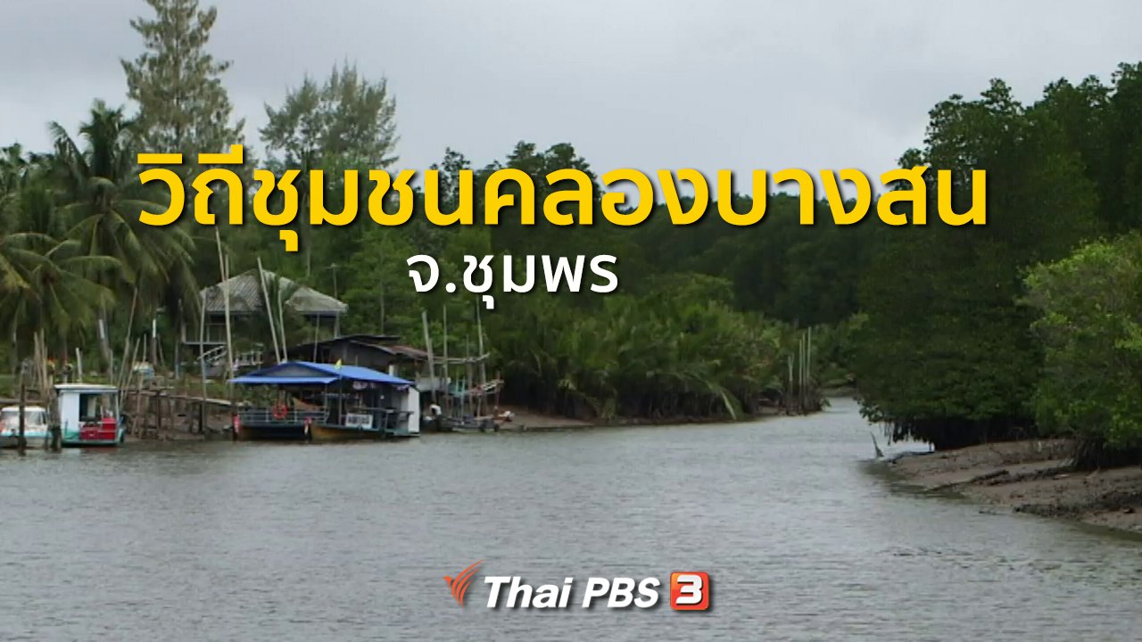 ทุกทิศทั่วไทย - ชุมชนทั่วไทย : ท่องเที่ยวสัมผัสวิถีชุมชนคลองบางสน จ.ชุมพร