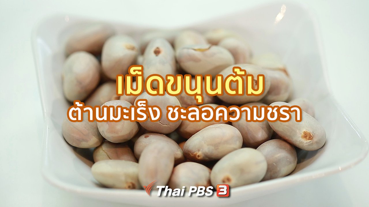 คนสู้โรค - กินดี อยู่ดีกับหมอพรเทพ : เม็ดขนุนต้ม ต้านมะเร็ง ชะลอความชรา