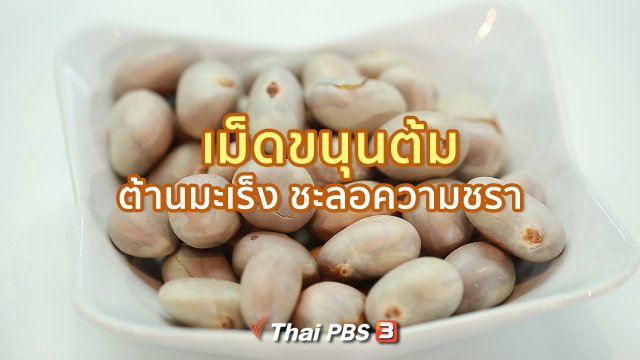 ​กินดี อยู่ดีกับหมอพรเทพ : เม็ดขนุนต้ม ต้านมะเร็ง ชะลอความชรา