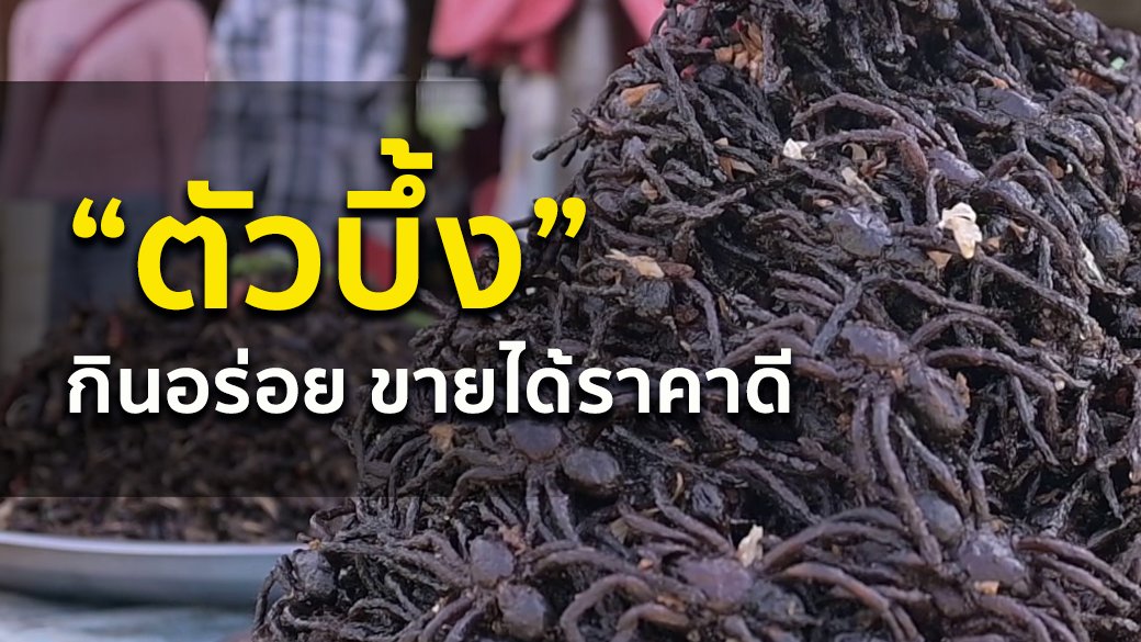 Spirit of Asia - "ตัวบึ้ง" กินอร่อย ขายได้ราคาดี