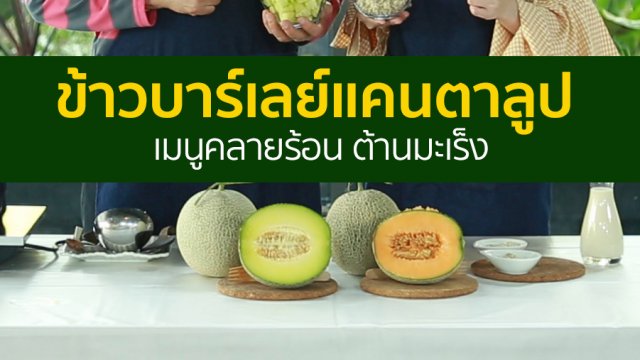 ข้าวบาร์เลย์แคนตาลูป