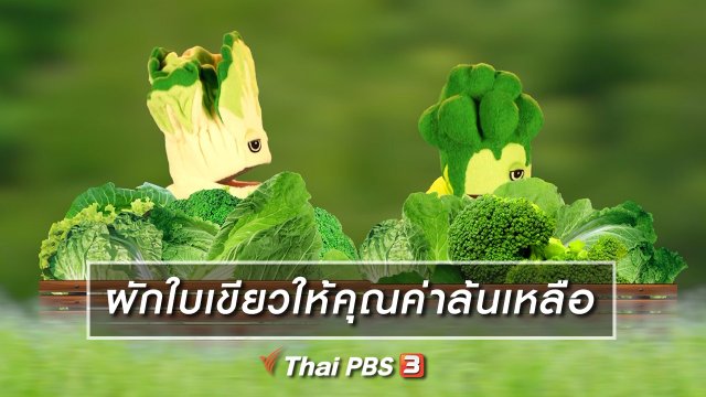 เกร็ดน่ารู้กับตาต้าตีตี้โตโต้ : ผักใบเขียวให้คุณค่าล้นเหลือ