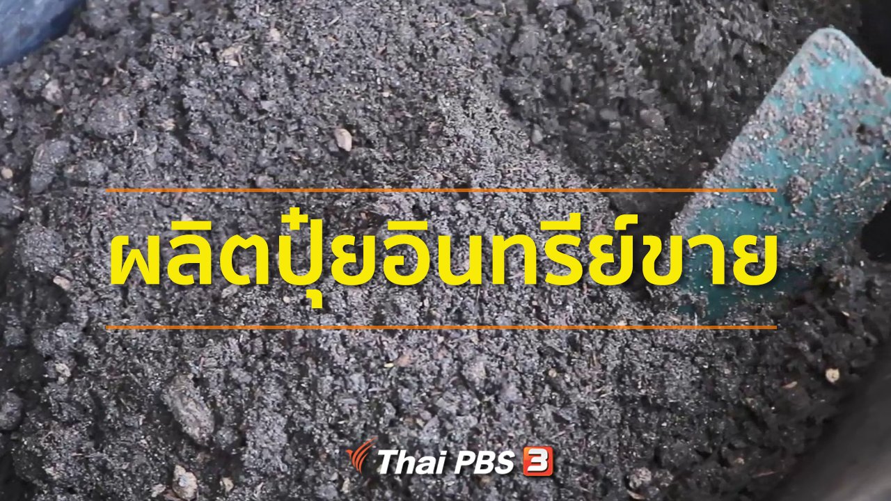 ทุกทิศทั่วไทย - ชุมชนทั่วไทย : ผลิตปุ๋ยอินทรีย์ขายสร้างรายได้